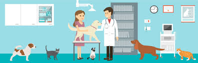 They do cover dental accidents and incidents related to illness. Understand How Pet Insurance Works The Reasons For It Moneygeek