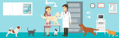 How do i get reimbursed for a vet bill with petfirst? Understand How Pet Insurance Works The Reasons For It Moneygeek