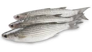 Here is a little bit about how they got there three years ago matt. Grey Mullet Workshop Diversify Eu