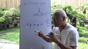 Maybe you would like to learn more about one of these? Bonsai Tutorials For Beginners How To Thicken Trunks Youtube