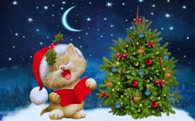 We did not find results for: 910 Christmas Tree Hd Wallpapers Background Images