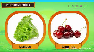 Definition of protective foods : Protective Foods English Story Youtube