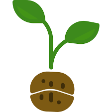 At velasquez & associates, we maintain an intimate. Lifeboost Coffee Is It Worth A Try A Detailed Review And Guide