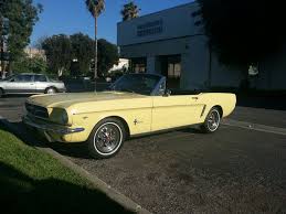 Image result for Sunlight Yellow 1964 Mustang