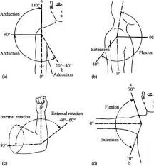 Joint Rom Chart Head Circumference Guws Medical