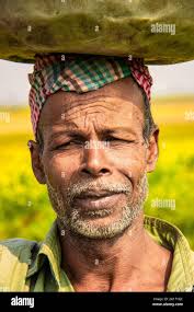 Farmer face hi-res stock photography and images