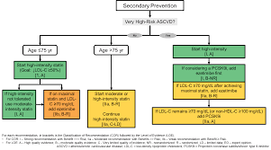 Evidence Based Treatment Of Hypercholesterolemia Patient