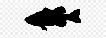 Free for commercial use no attribution required high quality images. E Guide To Bass Fishing Part Ii Fish Silhouette No Backgorund Free Transparent Png Clipart Images Download