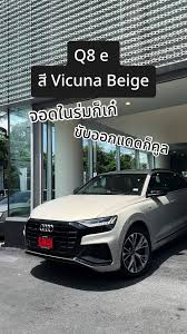 Image result for Vicuna Beige 2023 Q8