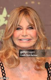 89 Scott Hawn Stock Photos, High-Res Pictures, and Images