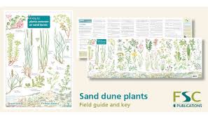 Fsc Fold Out Id Chart Sand Dune Plants Identification Chart
