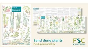 fsc fold out id chart sand dune plants identification chart