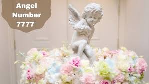 We did not find results for: Angel Number 7777 Meaning And Symbolism Cool Astro
