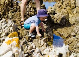 Half Moon Bay Tide Pools Half Moon Bay Ca California Beaches