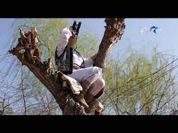 În aşteptarea ei, gheorghe (marius rizea) trăieşte experienţe pline de. Floarea Si Gheorghe Asteptand Berzele O DatÄƒ N ViaÅ£Äƒ Youtube