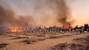 Bingöl'ün genç ilçesi servi bölgesinde 25 haziran'da öğlen saatlerinde başlayan yangın halen söndürülemedi. C7h Cskxxb Aem