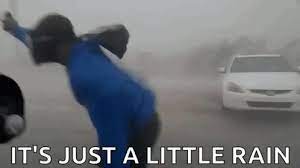 Rain Gifs Tenor Gifs,surprise tropical storm emily hits subject of this article:tropical rain storm gif (page 1).