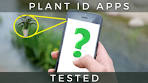 What Plant Identifier App Is Best? I Tested Them,. - YouTube