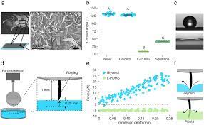 Maybe you would like to learn more about one of these? Mosquito Repellence Induced By Tarsal Contact With Hydrophobic Liquids Scientific Reports