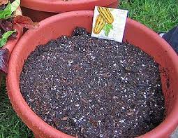 How To Easily Make Potting Soil Veggie Gardener Benefits Of Gardening Potting Soil Garden Pots