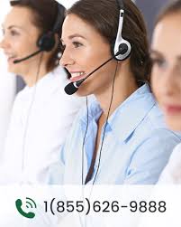 Amazon.com : GROWNEER 144 Cells Peat Pots Seed Starter Trays, 12 Packs  Biodegradable Seedling Pots Germination Trays, Organic Plant Starter Kit  with 15 Pcs Plant Labels : Patio, Lawn & Garden