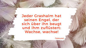 Schutzengel Spruche 23 Ideen Fur Jeden Anlass Hallo Eltern