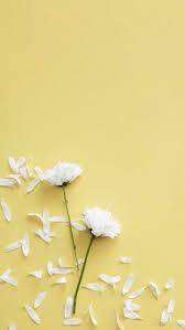 Pin On Wallpapers Background blue aesthetic sticker glitch wallpaper. pinterest