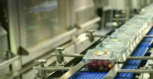 Home shop frozen food vegetables mixed vegetables. X Ray Inspection Of Fruits And Vegetables Mekitec