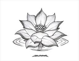 19 Flower Drawings Free Psd Ai Eps Format Download In 2020 Lotus Flower Tattoo Design Lotus Flower Drawing Flower Sketches