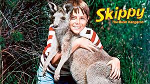Image result for skippy