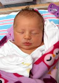 Oswego County TodayAlyson Losurdo