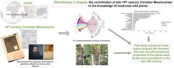 Image result for Lefebvrea grantii