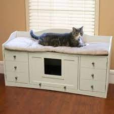 Pin On Cats