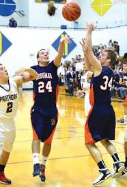 Bees start strong, win district crown