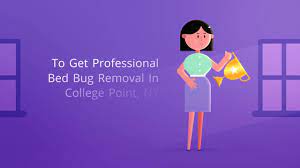 Expert recommended top 3 pest control services in jaipur, rajasthan. Ocp Bed Bug Exterminator College Point Ny Bed Bug Removal