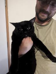 Haysville Happenings