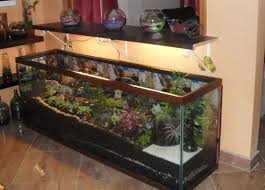 8 Diy Fish Tank Planter Terrarium Ideas Balcony Garden Web Find great deals on ebay for terrarium cactus.