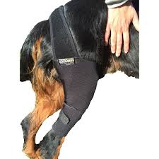 Dog Knee Brace Dog With Braces Dog Braces Dog Leg
