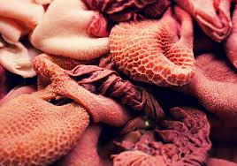 Quinto quarto piadina e affini a cesenatico 100% romaga, un ristorante dove riscoprire il sapore della piadina romagnola, la cucina a vista è una loggia sul porto canale di cesenatico , dove sostare tra un peschereccio e una piadina che si cucina. Le Ricette Del Quinto Quarto La Trippa Alla Romana Roma Roma Lazio Io Lavoro A Roma