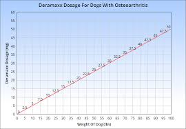 guide to deramaxx for dogs uses benefits side effects