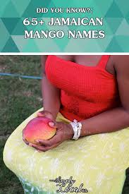 Farm Up Jamaica - Jamaican Mango Export To Begin Soon!!! In Conversation  With The Minister Of Agriculture, Roger Clarke Yesterday, We Discovered  That We Here In The Us And Canada Will Soon