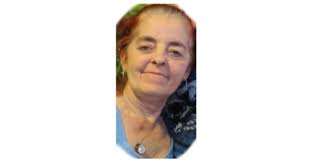 Sandra Lee Mickle Obituary (2024)