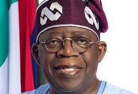 Tinubu nominates chairman, five executive directors for South East  Development Commission |