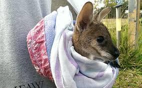 The pocket sits on the lower front section of the sweater. I Pinimg Com Originals Cb 39 Ac Cb39aca50d345b1