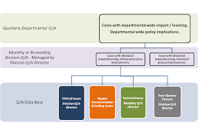 Organizational Structure