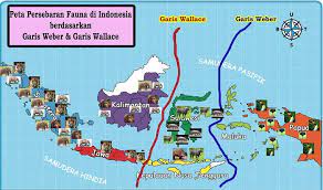Peta Persebaran Flora Di Indonesia Gambar Wilayah Dan Geografi