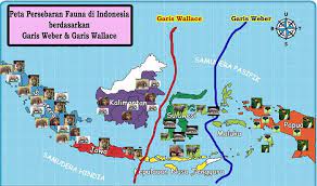Selain itu indonesia memiliki beribu kekayaan baik flora maupun fauna yang ada di indonesia jenisnya sangat banyak dan tersebar di seluruh wilayah indonesia. Peta Persebaran Flora Di Indonesia Gambar Wilayah Dan Geografi