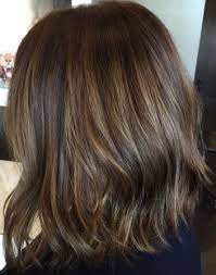 Subtle Brunette Highlights On Short Hair Short Hair Balayage Subtle Brunette Highlights Baliage Hair