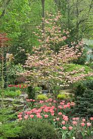 Many types of small trees provide shade, privacy, colorful flowers, attract wildlife, and give plenty of fruit. The Best Small Trees Better Homes Gardens