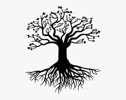 Trees with roots, foliage and fallen leaves isolated on white background. Root Tree Stock Photography Gratis Large Tree With Roots Hd Png Download Transparent Png Image Pngitem